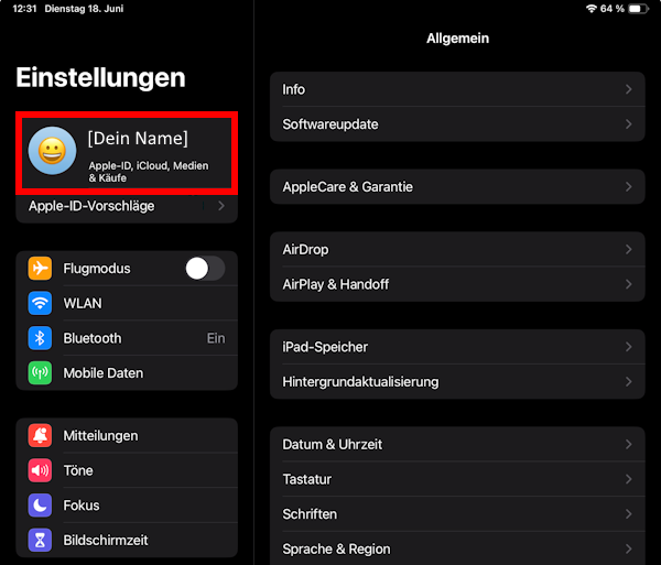 Geräteeinstellungen beim iPad Pro